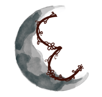 Claire Evans, Author